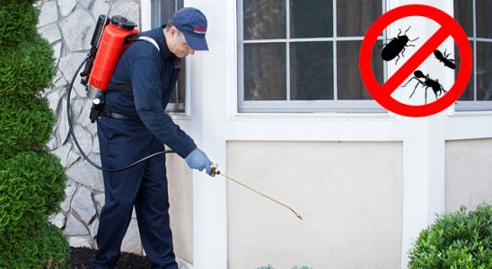 Ardahan Böcek ve Haşere İlaçlama böcek ilaçlama ve haşere kontrolü — ilaclama-tr.com